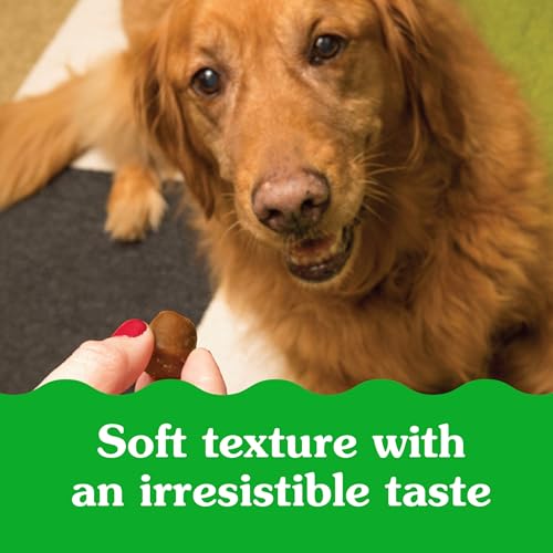 Greenies Pill Pockets for Dogs Large Size, Dog Treat Pouch for Capsule Medication, Peanut Butter Flavor, 15.8 oz. Pouch