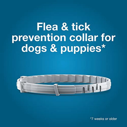 Seresto Flea & Tick Collar For Dogs Over 18 lbs., Treatment & Prevention, Vet-Recommend, 8 Month Protection