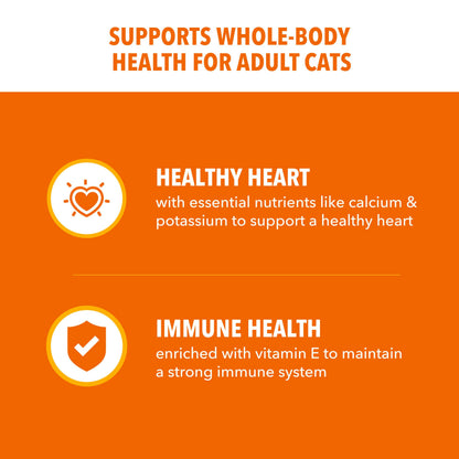 IAMS Proactive Health Dry Cat Food, Healthy Cat Food Dry Recipe for Adults, with Chicken 22 lb. Bag