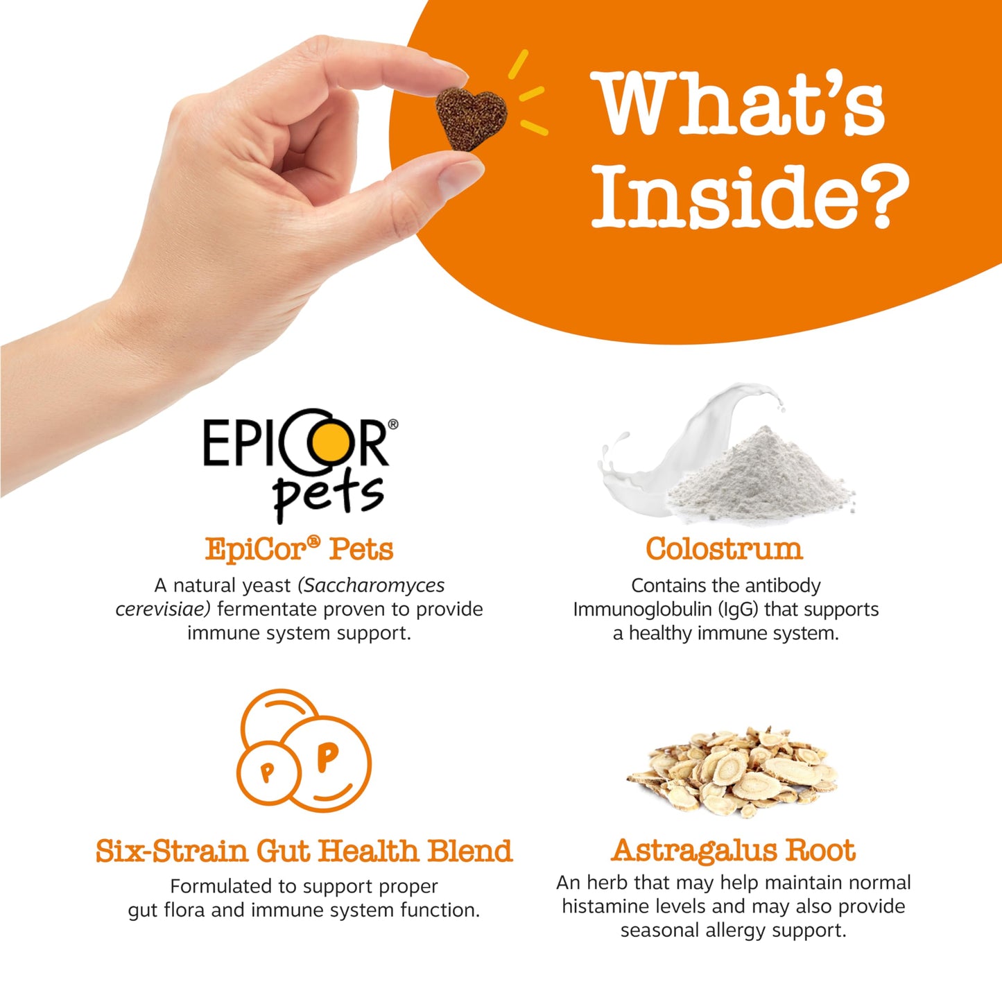 Zesty Paws Dog Allergy Relief Chews, Dog Probiotics for Itchy Skin and Ears, Lamb, 90ct