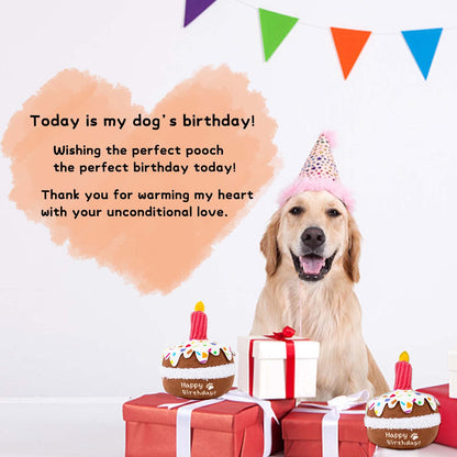 lilfrd Dog Birthday Toy, Birthday Cake Toys for Puppy Gifts, Squeaky Plush Dog Toys