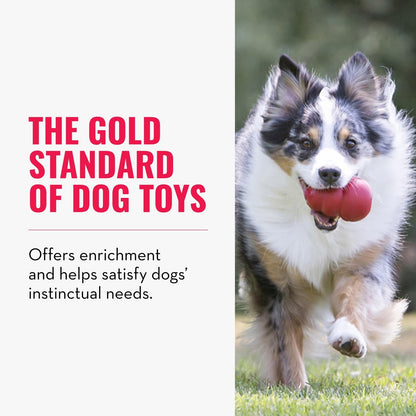 KONG Classic Stuffable Dog Toy - Fetch & Chew Toy for Dogs - Treat-Filling Capabilities & Erratic Bounce for Extended Play Time - Durable Natural Rubber Material - for Large Dogs