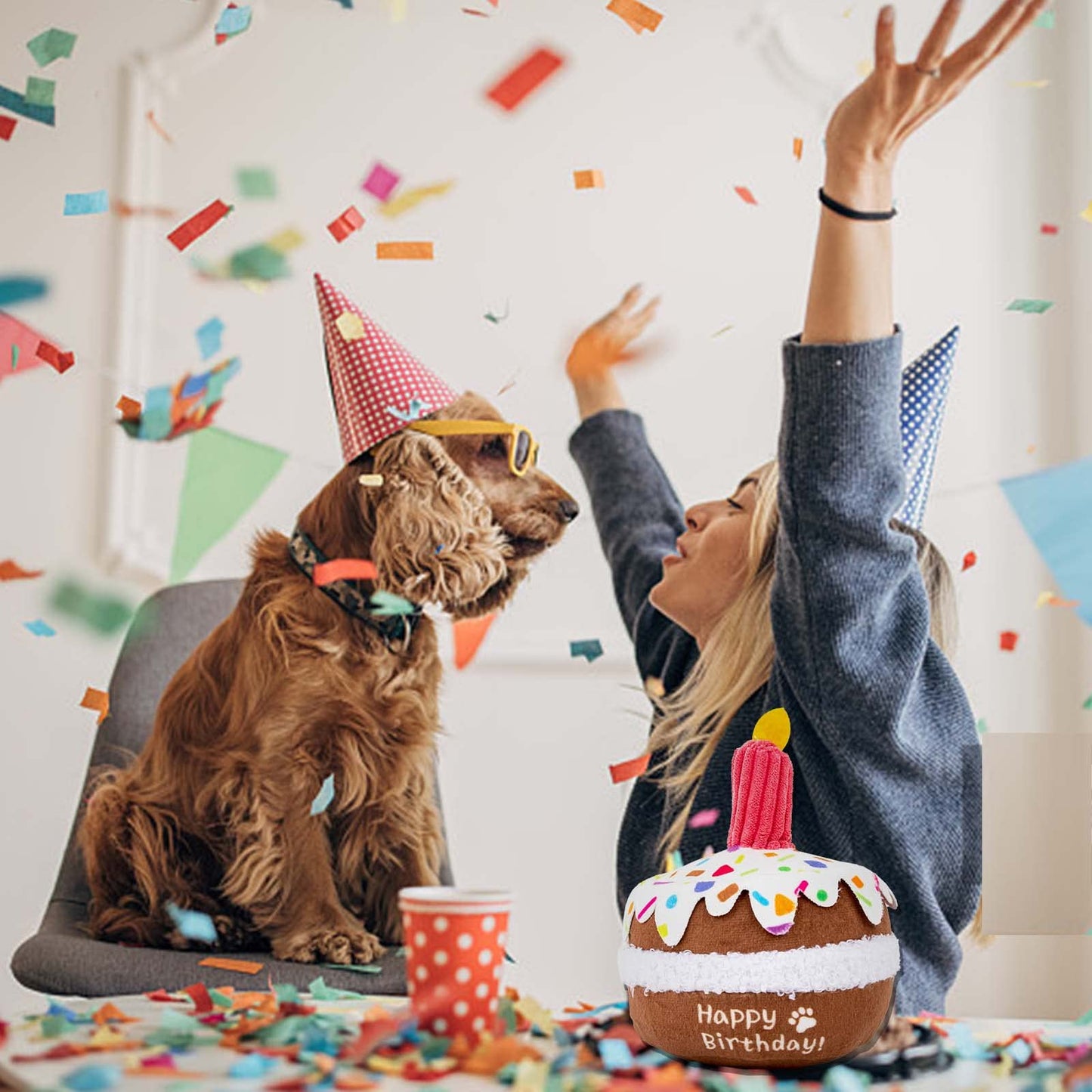 lilfrd Dog Birthday Toy, Birthday Cake Toys for Puppy Gifts, Squeaky Plush Dog Toys