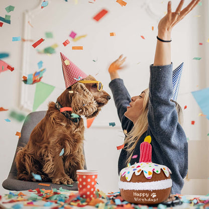 lilfrd Dog Birthday Toy, Birthday Cake Toys for Puppy Gifts, Squeaky Plush Dog Toys