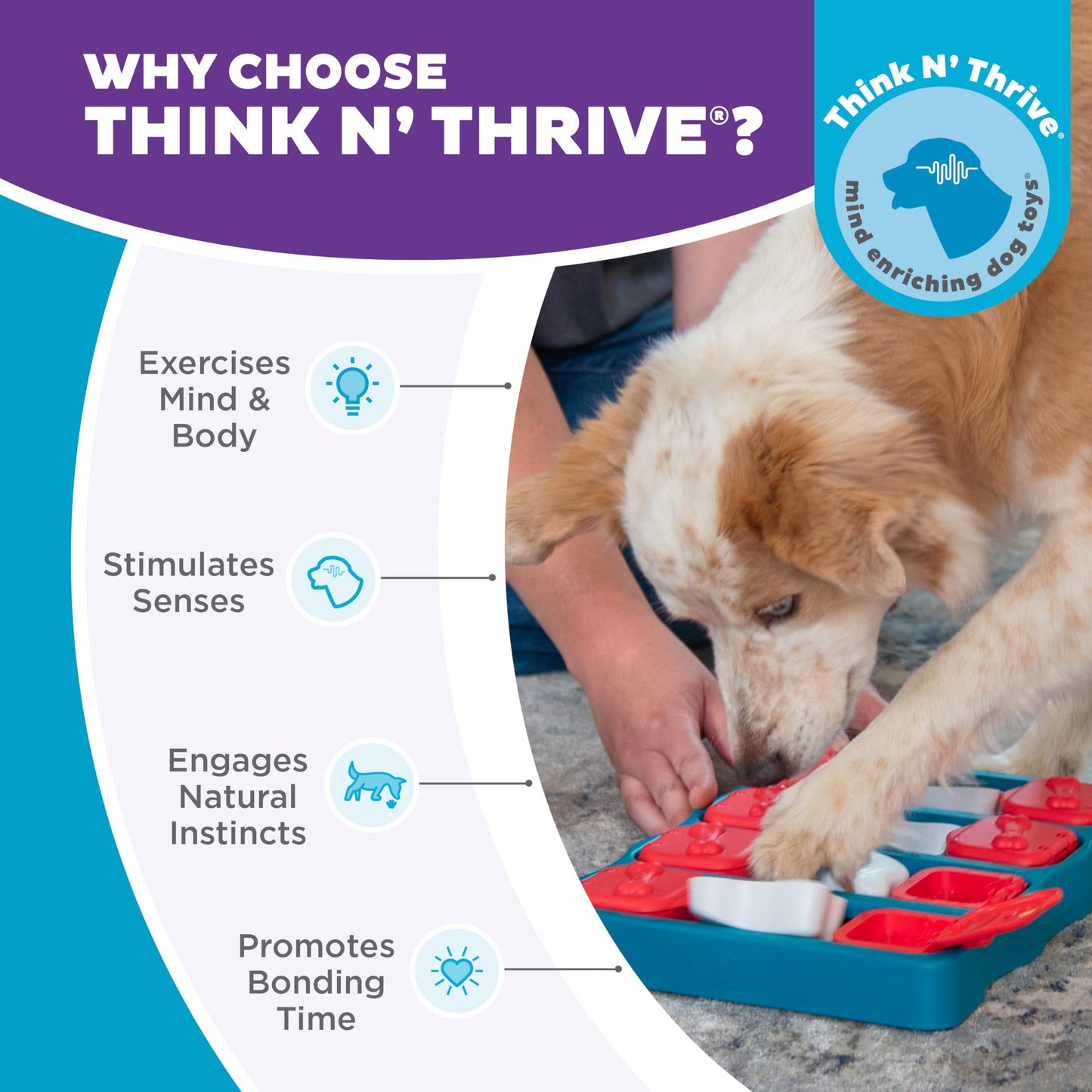 Outward Hound by Nina Ottosson Dog Brick – Interactive Treat Puzzle Enrichment Toy, Level 2 Intermediate