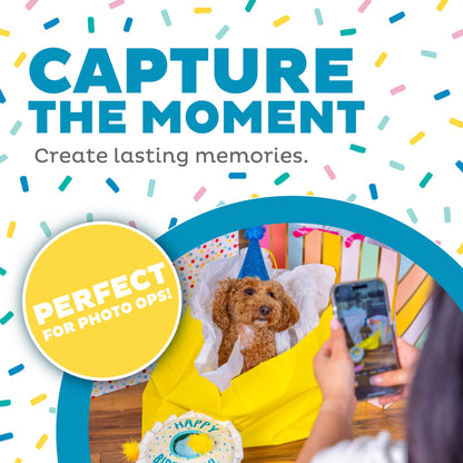 Outward Hound Hide-A-Birthday-Cake Dog Toy – Interactive 2‑in‑1 Plush Puzzle with 3 Squeaky Removable Candles