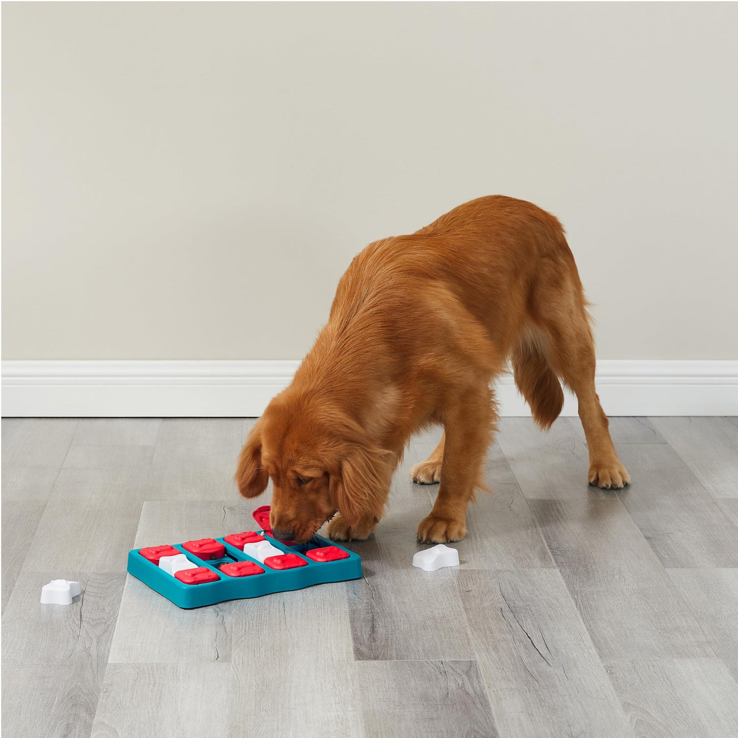 Outward Hound by Nina Ottosson Dog Brick – Interactive Treat Puzzle Enrichment Toy, Level 2 Intermediate