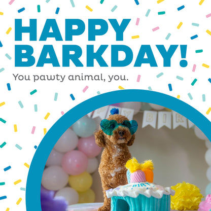 Outward Hound Hide-A-Birthday-Cake Dog Toy – Interactive 2‑in‑1 Plush Puzzle with 3 Squeaky Removable Candles