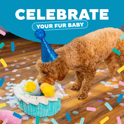 Outward Hound Hide-A-Birthday-Cake Dog Toy – Interactive 2‑in‑1 Plush Puzzle with 3 Squeaky Removable Candles