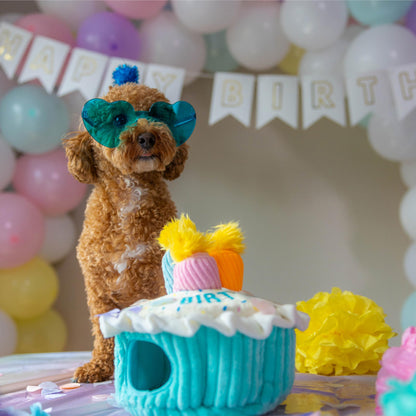Outward Hound Hide-A-Birthday-Cake Dog Toy – Interactive 2‑in‑1 Plush Puzzle with 3 Squeaky Removable Candles
